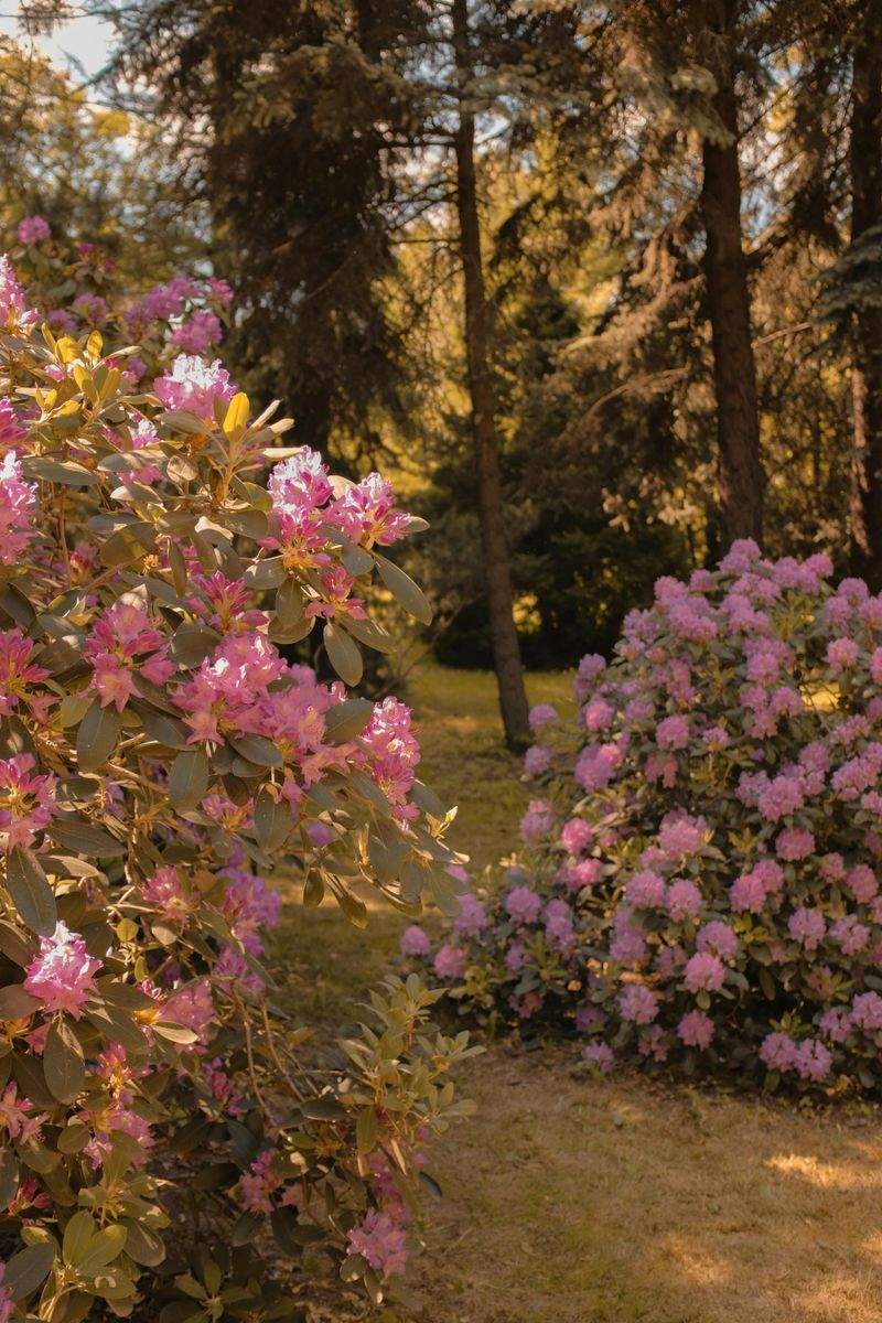 Die besten Pflanzen für den Frühling
