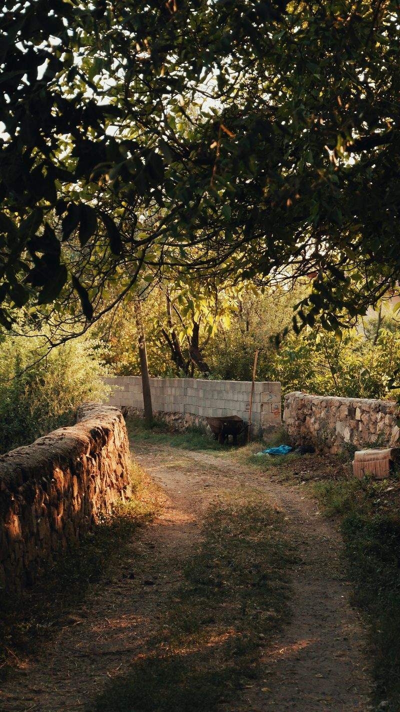 GartenZauber GmbH - Image 10