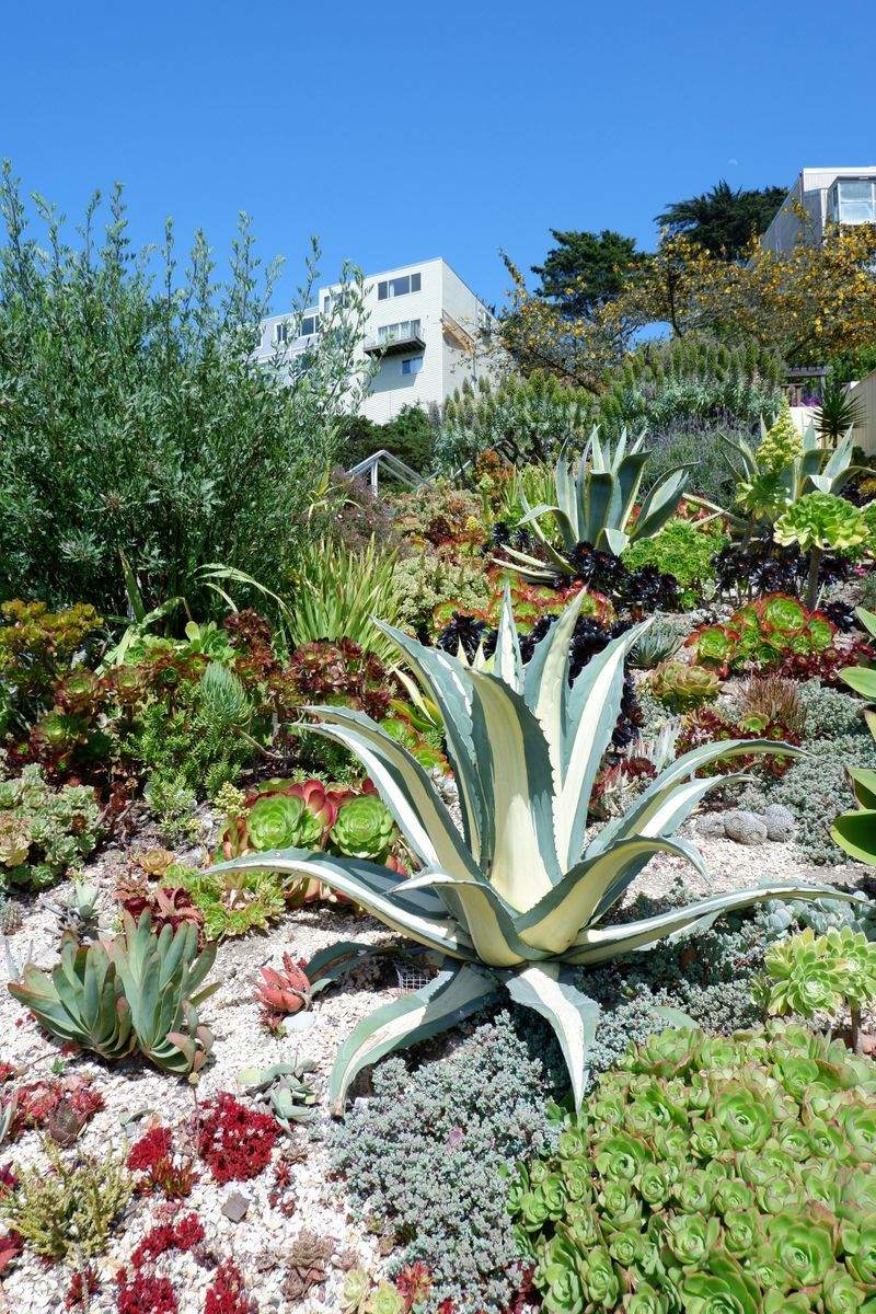 GartenZauber GmbH - Image 3